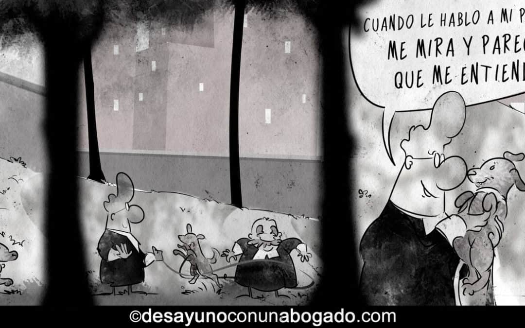 La mirada de un juez