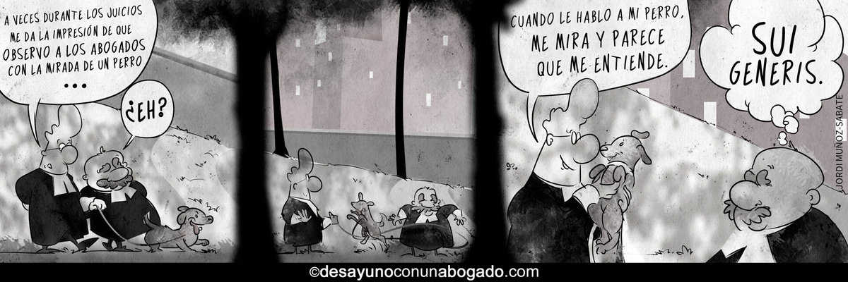 CHISTE BASE 39 MIRADA PERRO La mirada del juez